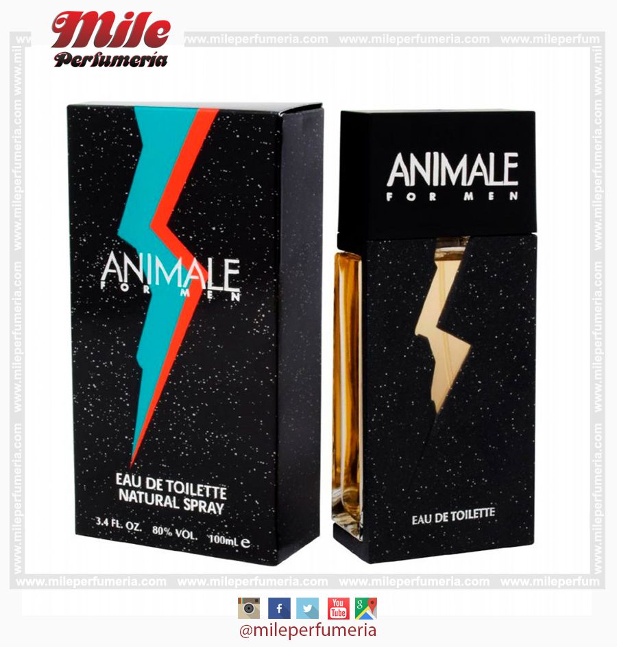 ANIMALE FOR MEN