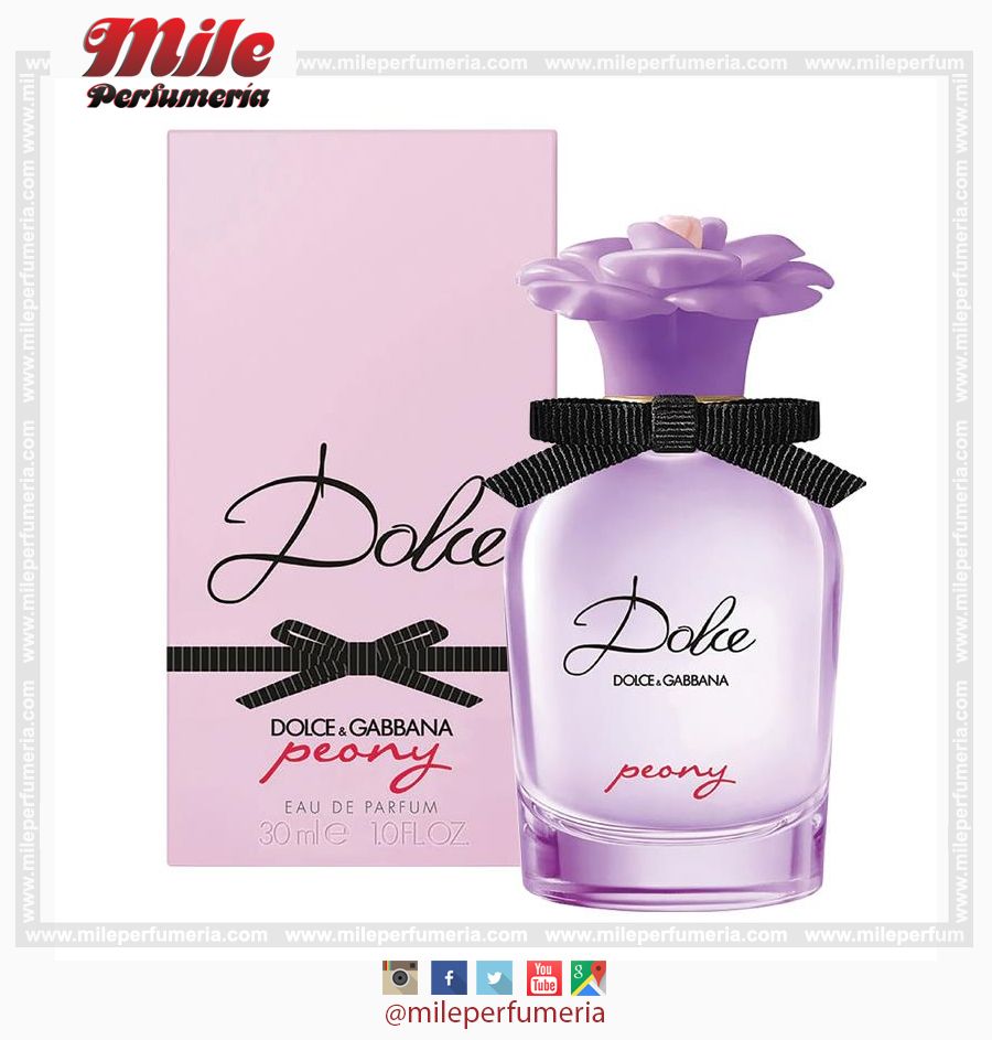 Dolce - DOLCE GABANNA - peony